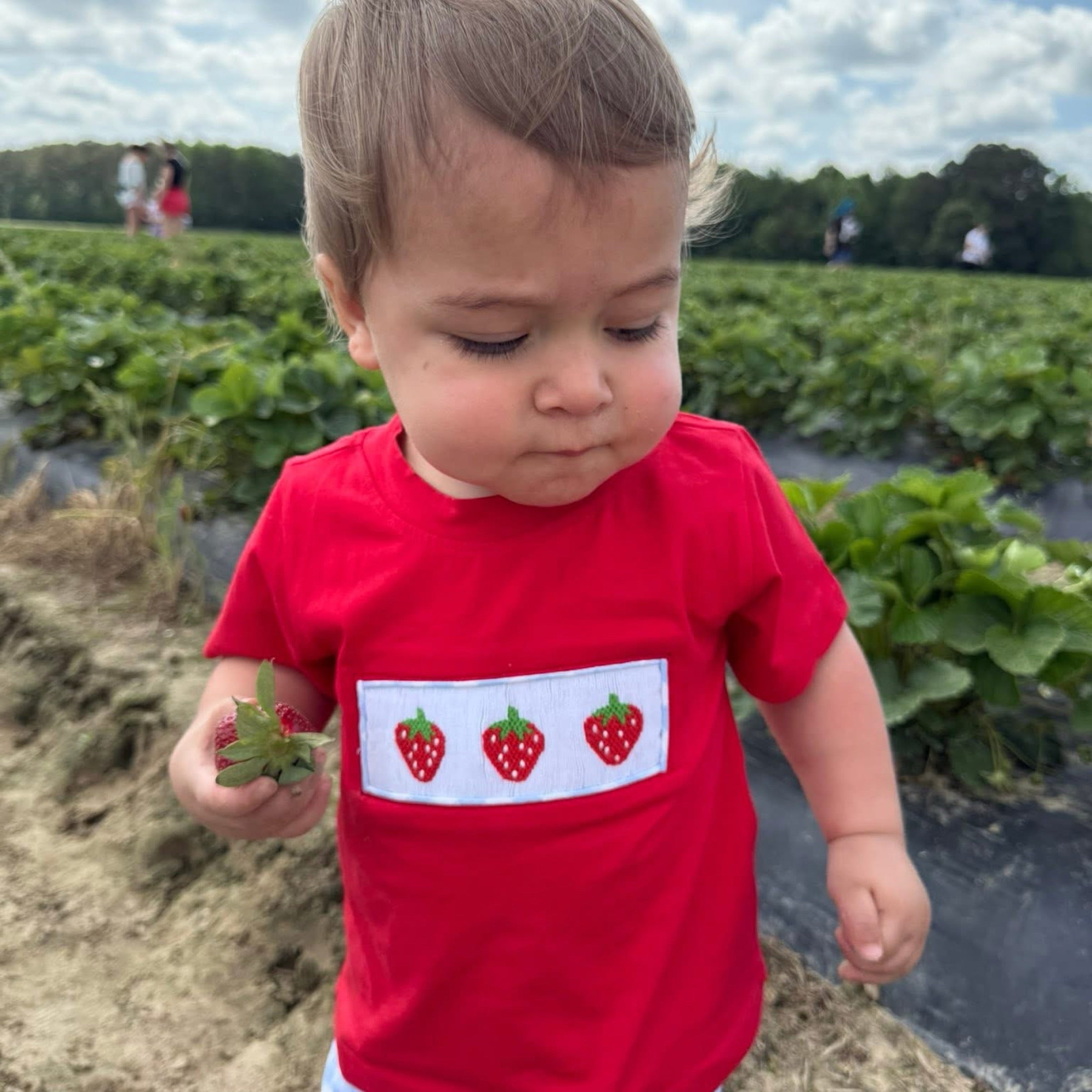 Strawberry Sweeties Boy Short Set